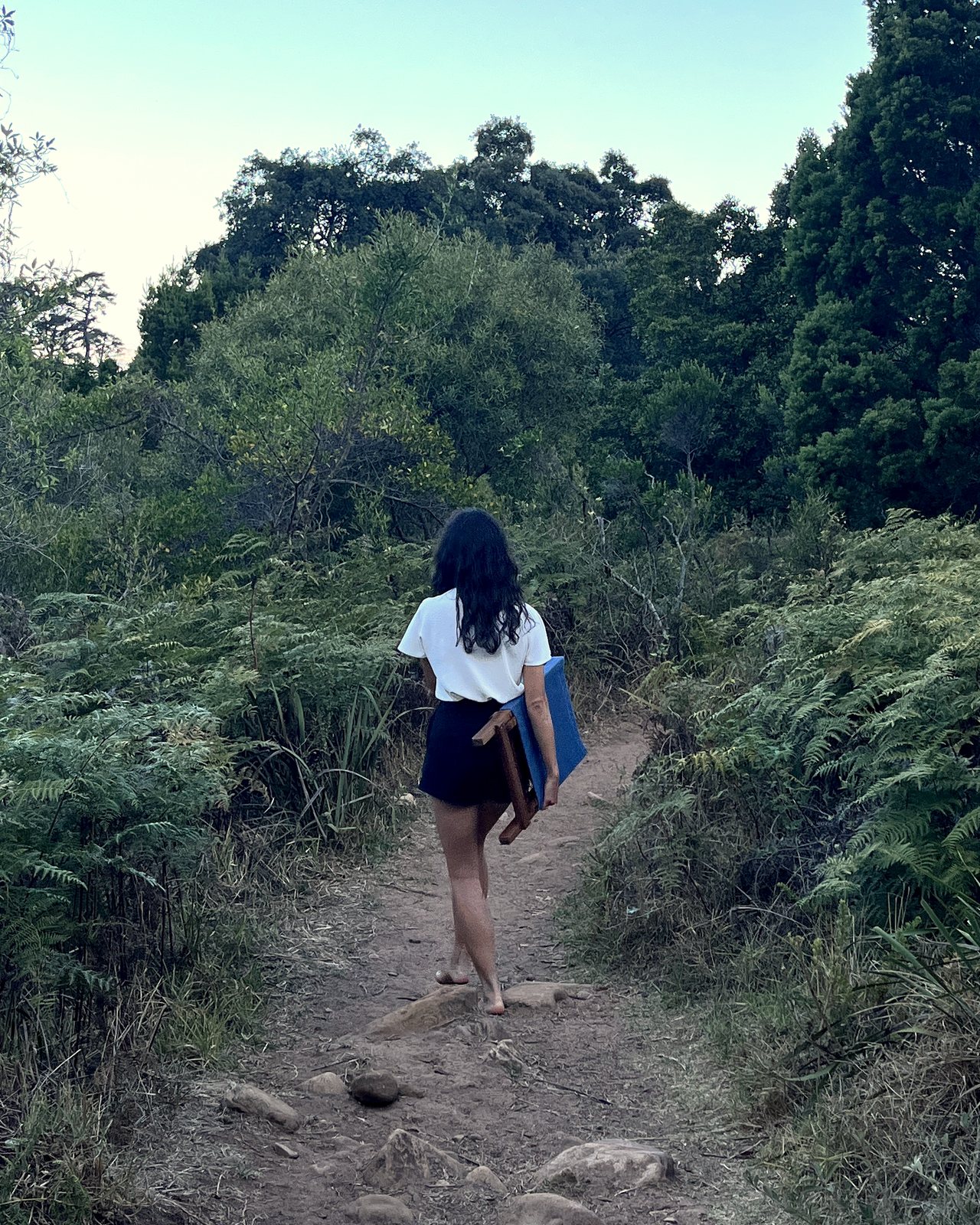 Walking a fern-lined mountain path with the folded kiaat chair